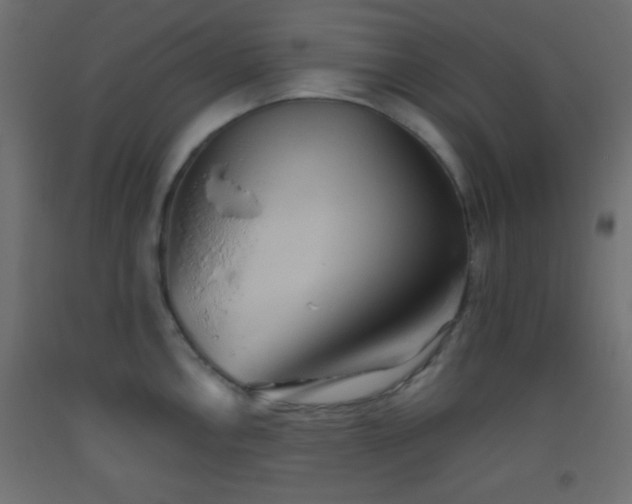 X0000093521146200710121540