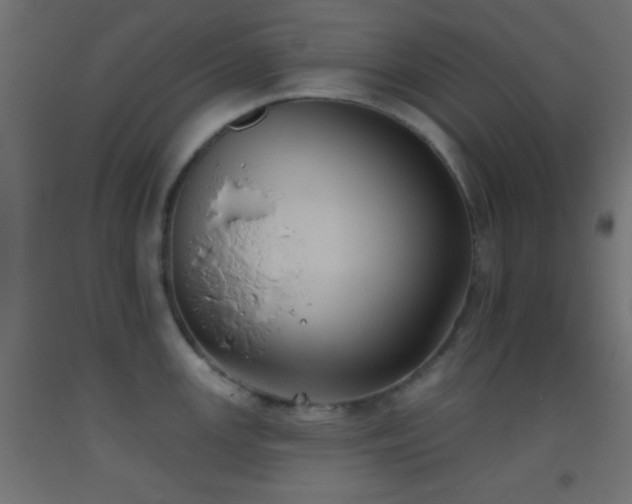 X0000093521147200710121540