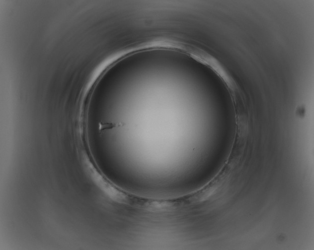 X0000093521148200710121540