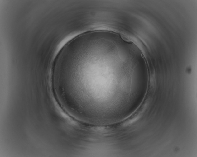 X0000093521149200710121540