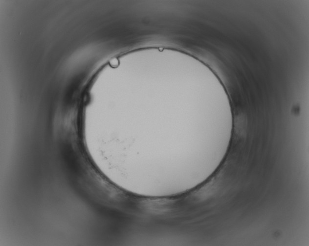 X0000093521150200710121540