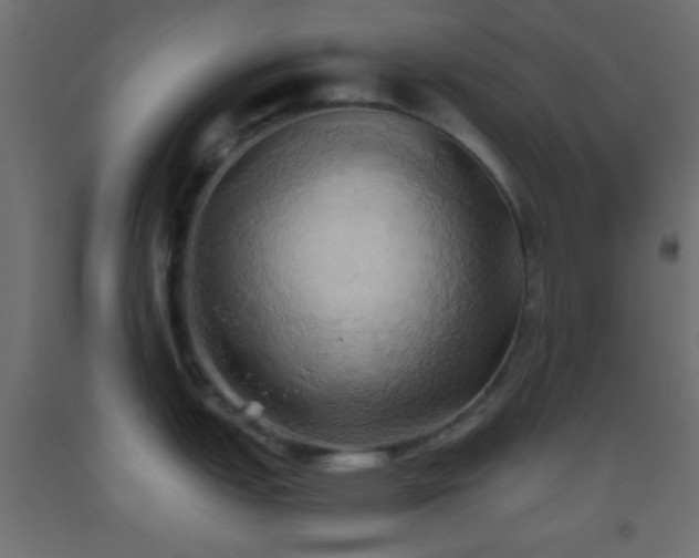 X0000093521151200710121540