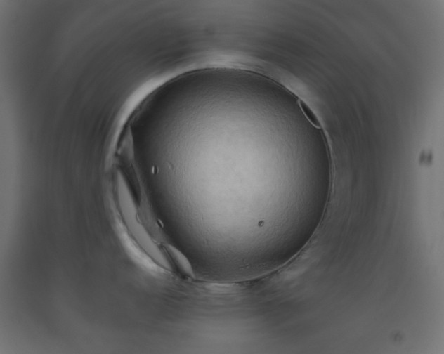 X0000093521152200710121540