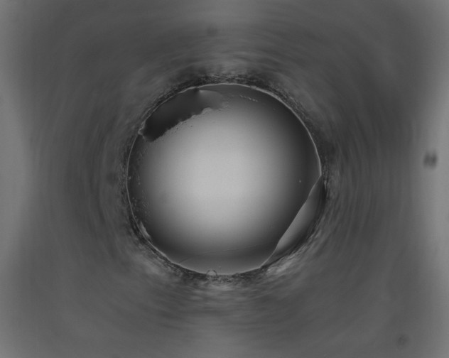 X0000093521153200710121539