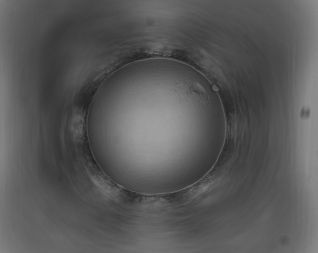 X0000093521154200710121539