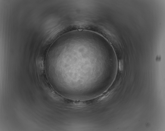 X0000093521155200710121539