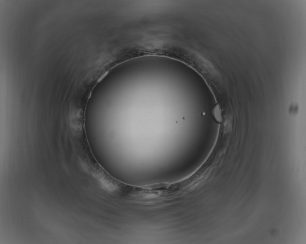 X0000093521156200710121539