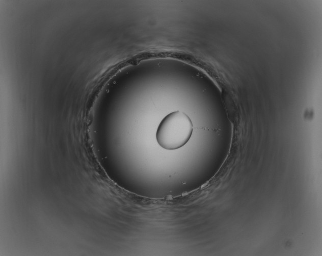 X0000093521157200710121539