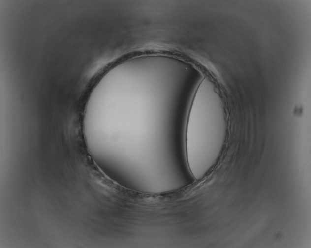X0000093521160200710121539