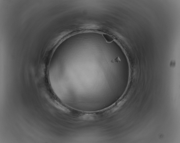 X0000093521161200710121539