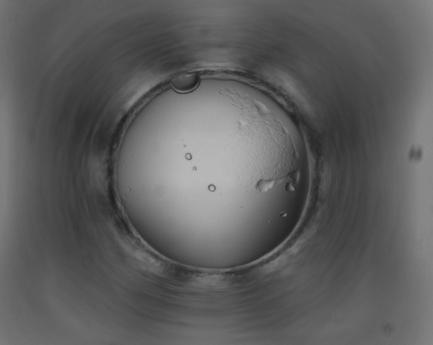 X0000093521162200710121539