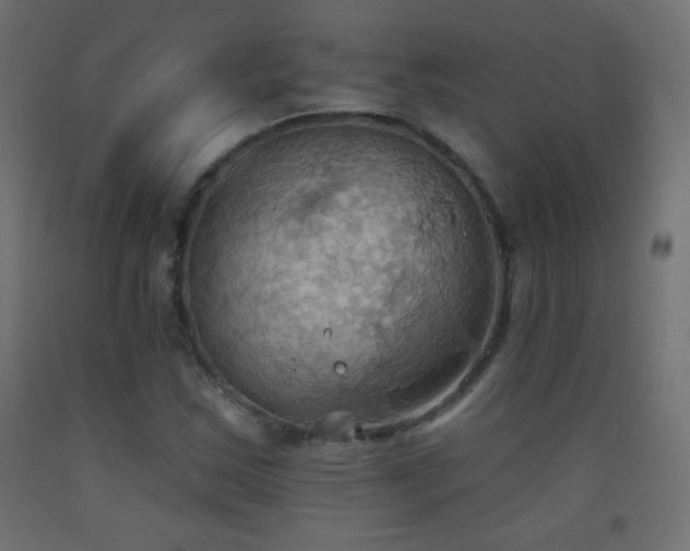 X0000093521163200710121539