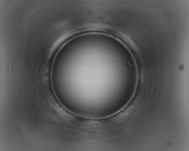 X0000093521164200710121539