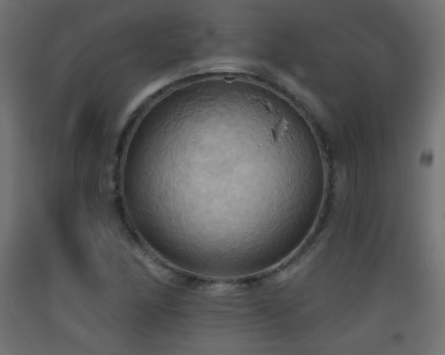 X0000093521166200710121539