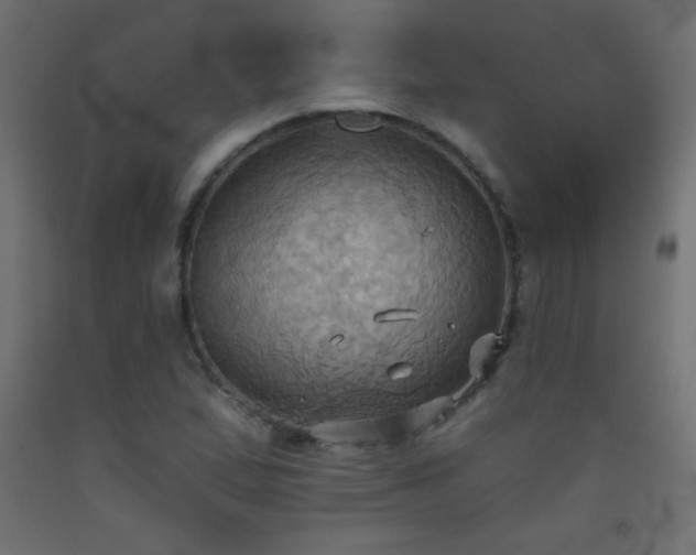 X0000093521167200710121539