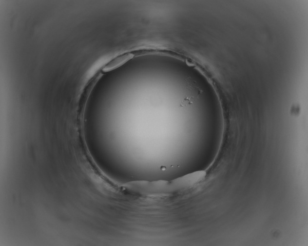X0000093521168200710121539