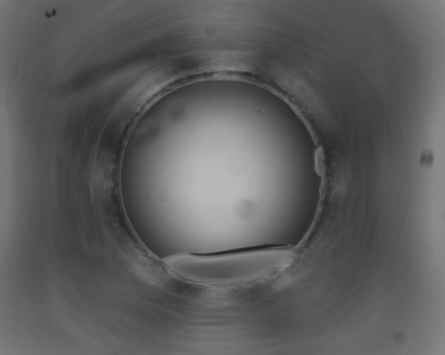 X0000093521169200710121539