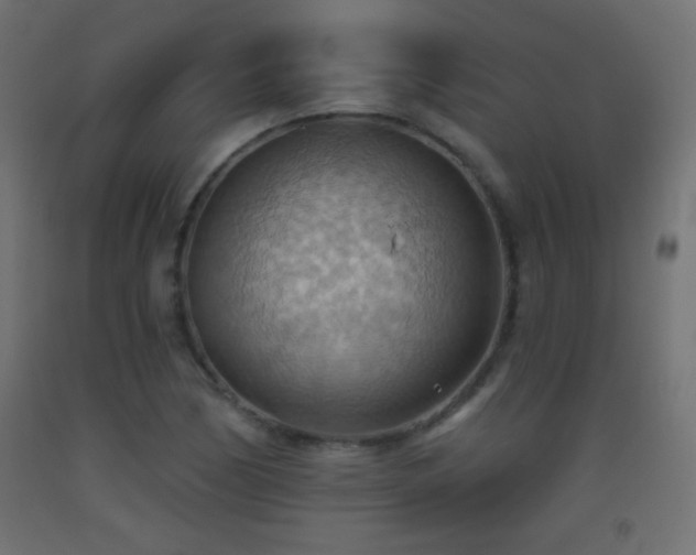X0000093521170200710121539
