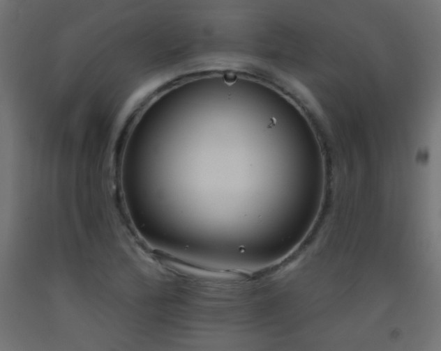 X0000093521172200710121539