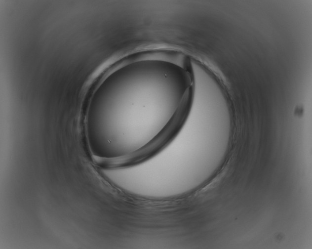 X0000093521173200710121539