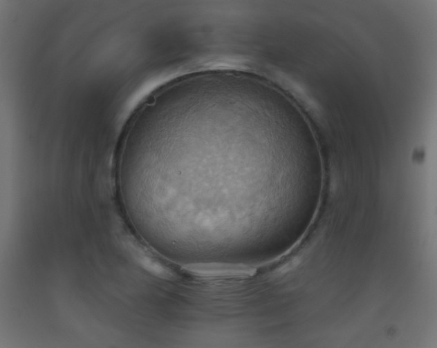 X0000093521174200710121539