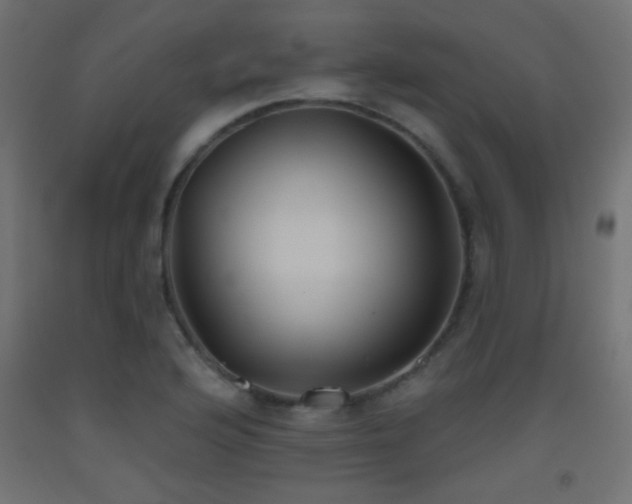 X0000093521176200710121539