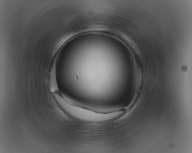 X0000093521177200710121539