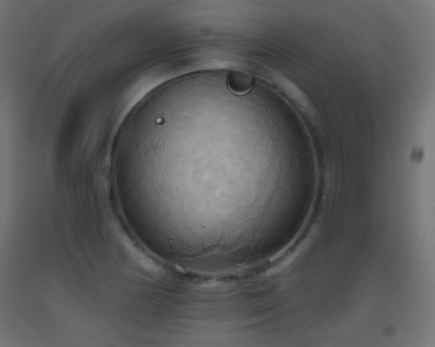 X0000093521178200710121539