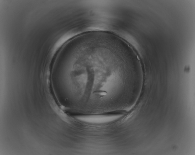 X0000093521179200710121539