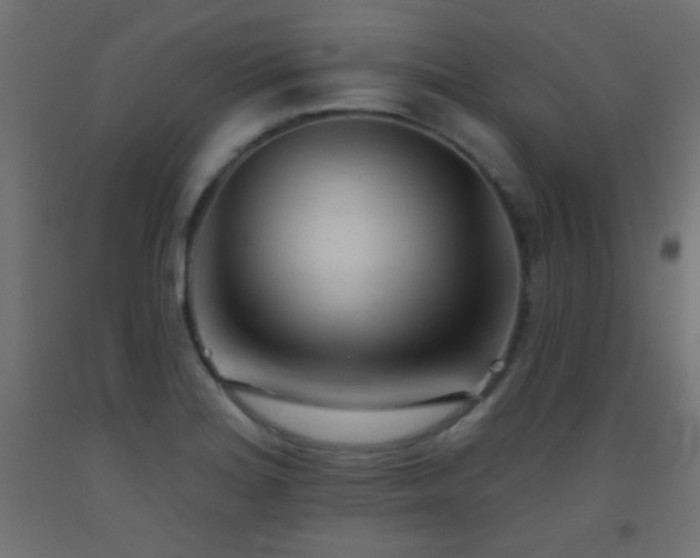 X0000093521180200710121539