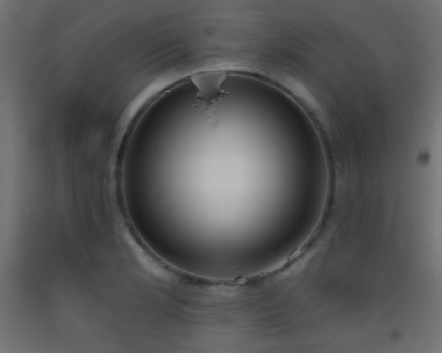 X0000093521181200710121539
