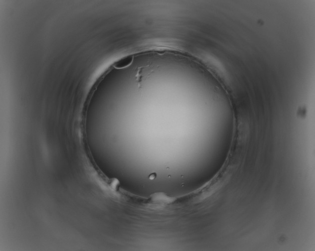 X0000093521182200710121539