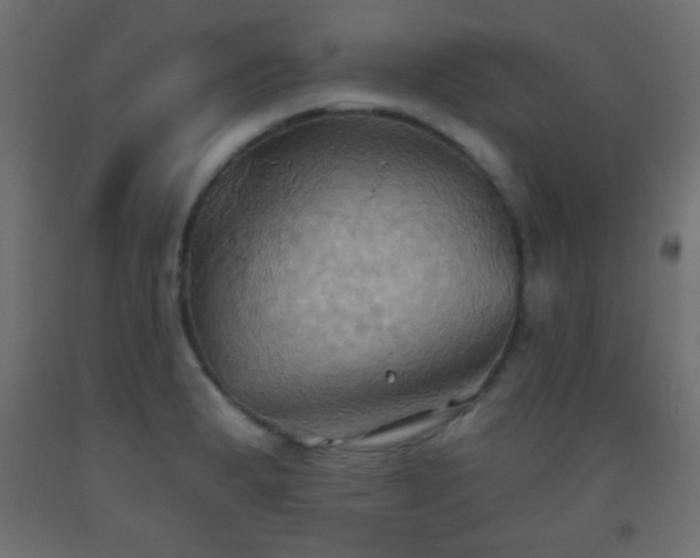 X0000093521183200710121539
