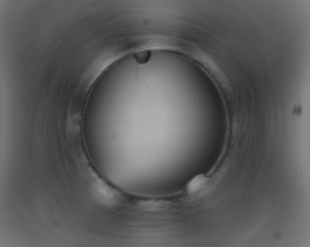 X0000093521185200710121539