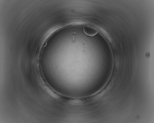 X0000093521186200710121539