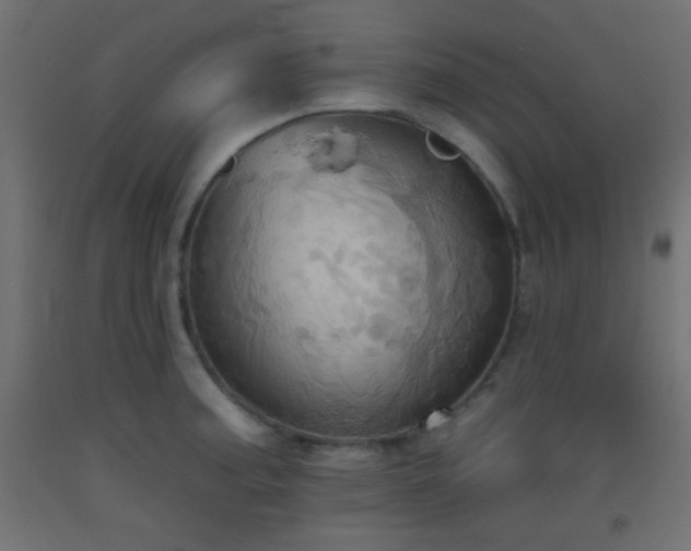 X0000093521187200710121538