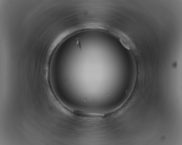 X0000093521188200710121538