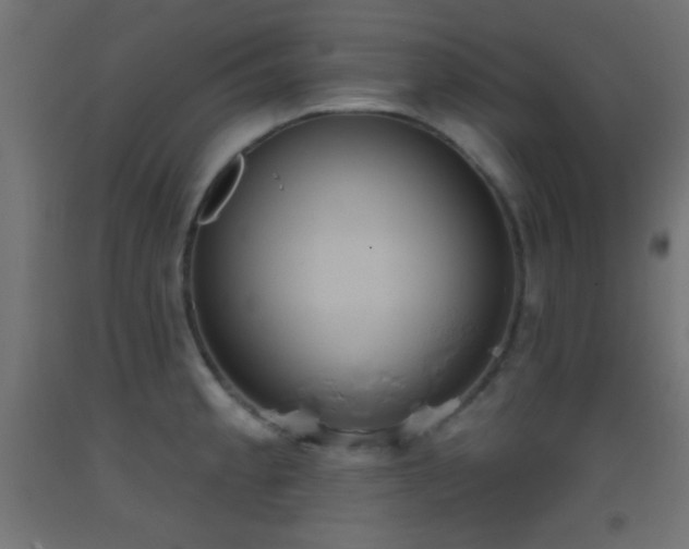 X0000093521189200710121538