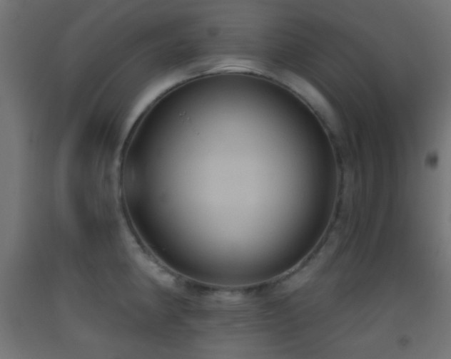 X0000093521190200710121538
