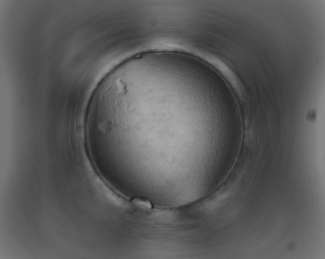 X0000093521191200710121538