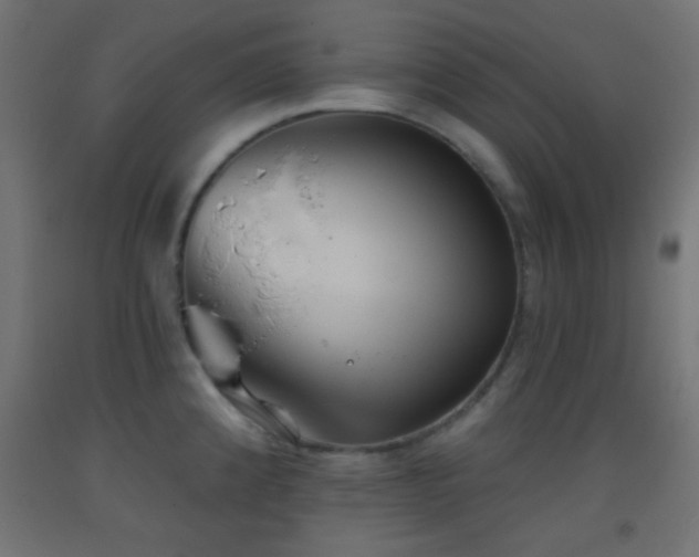 X0000093521192200710121538