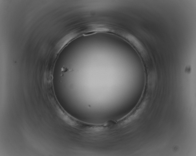 X0000093521193200710121538