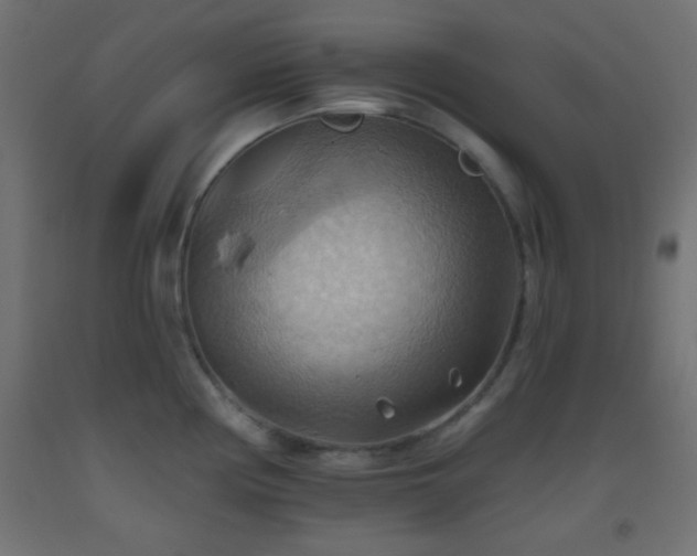 X0000093521194200710121538