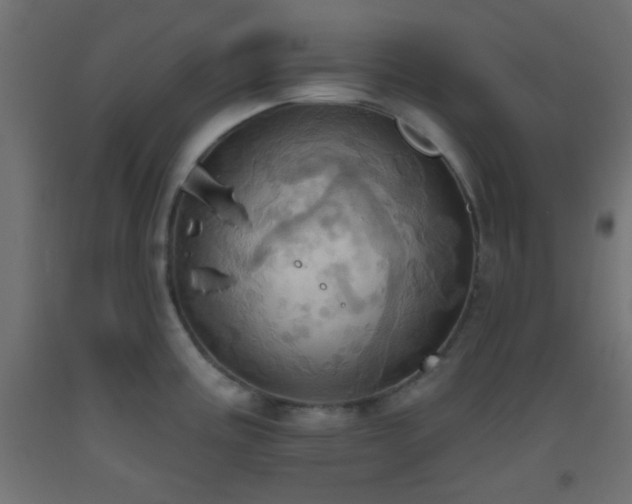 X0000093521195200710121538