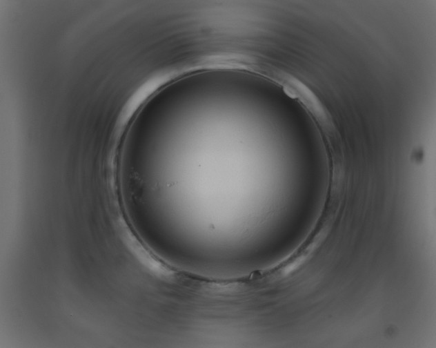 X0000093521196200710121538