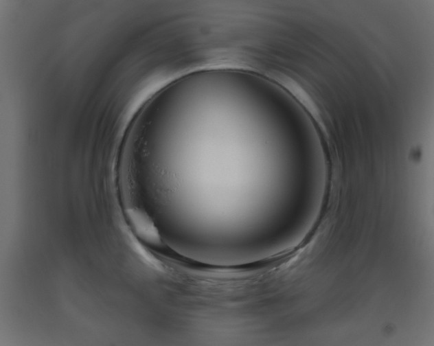 X0000093521197200710121538