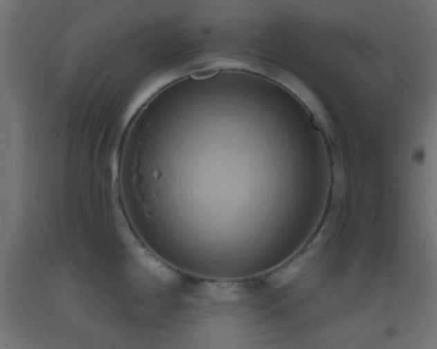 X0000093521198200710121538