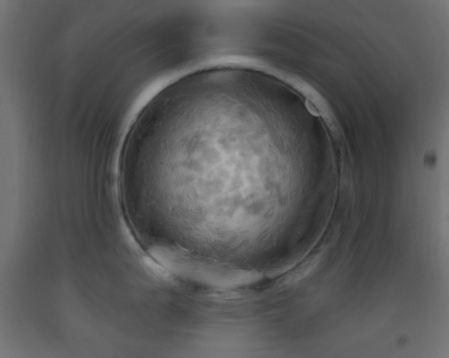 X0000093521199200710121538