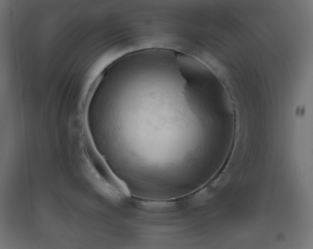 X0000093521200200710121538