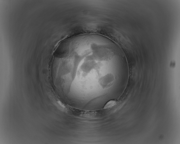 X0000093521201200710121538
